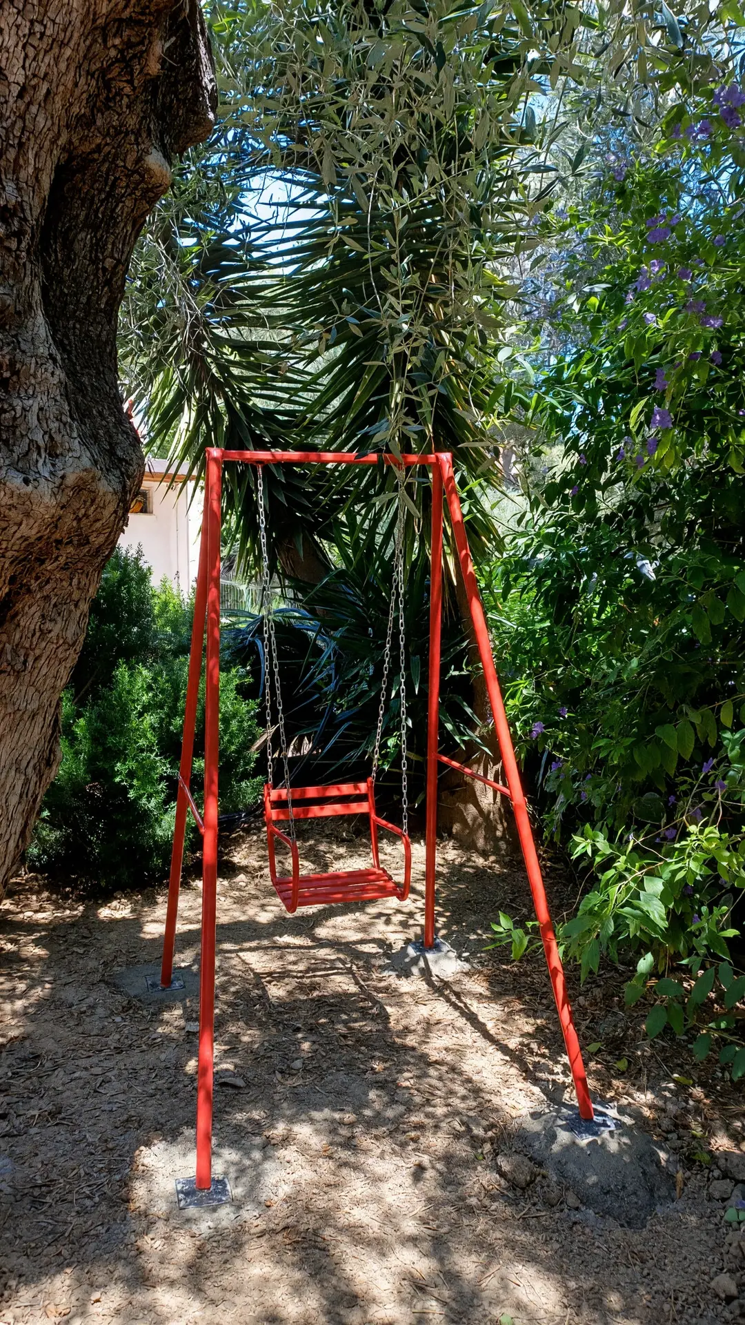 L’altalena Clara, rossa, sotto l’ulivo in fondo al cortile