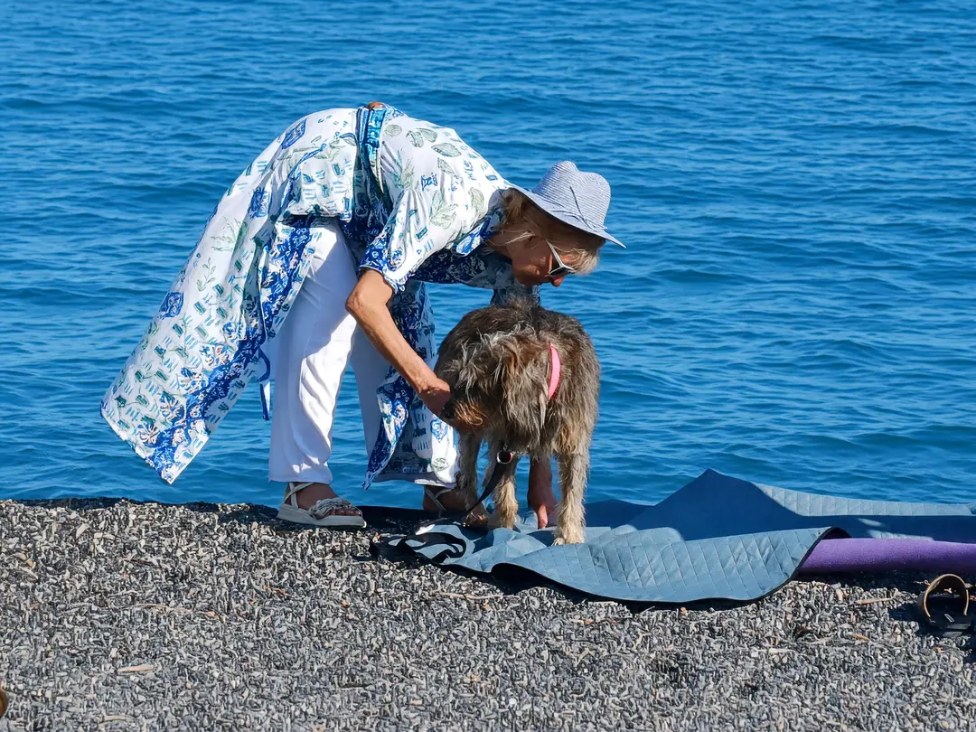 Una signora asciuga il suo cane sul telo, in riva al mare