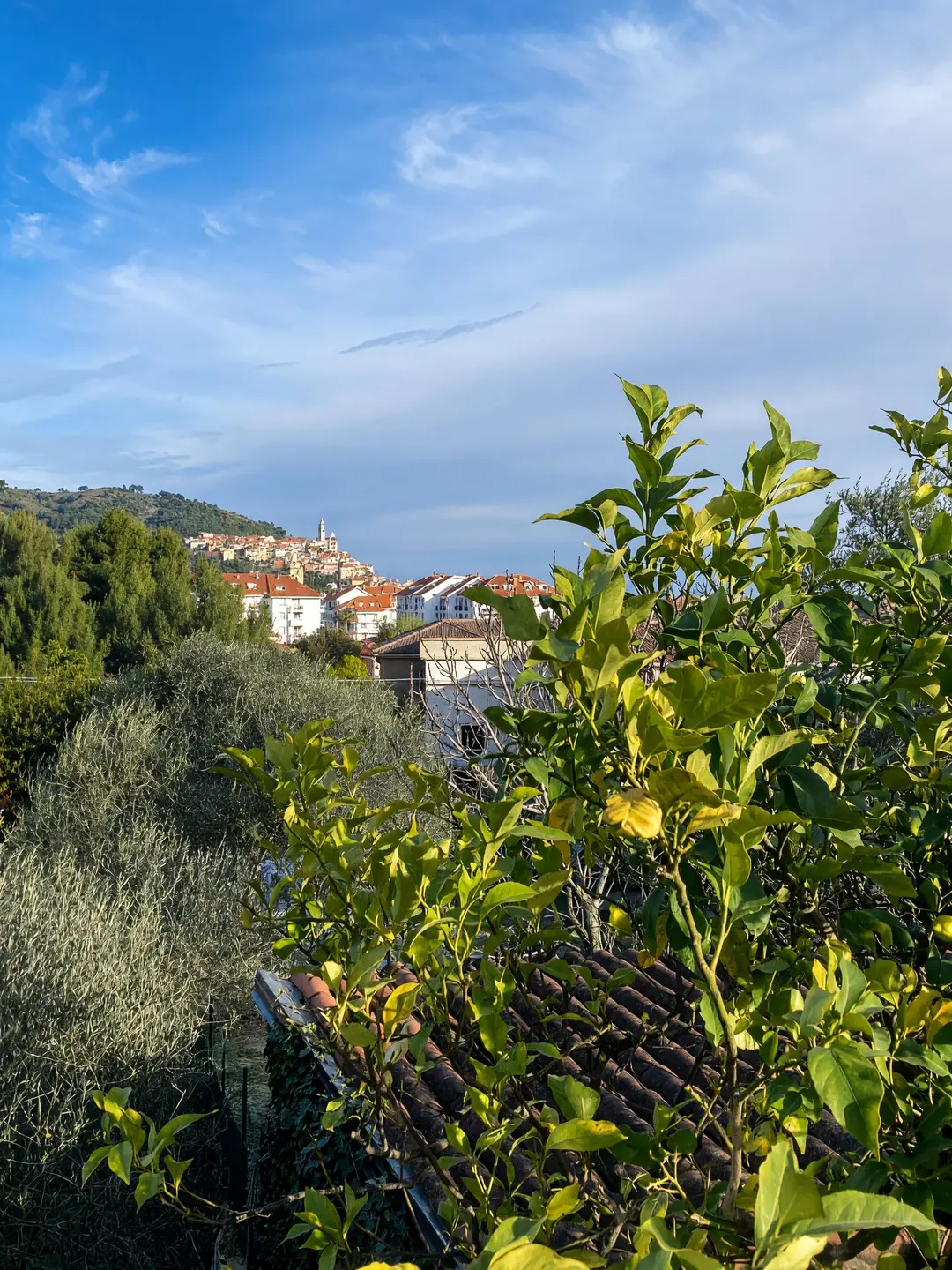 Il borgo sulla collina, oltre un limone del giardino