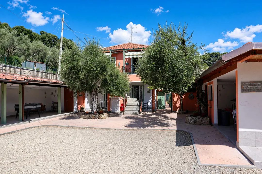 Il cortile in ghiaia all’arrivo, con gli ulivi e i due corpi della casa