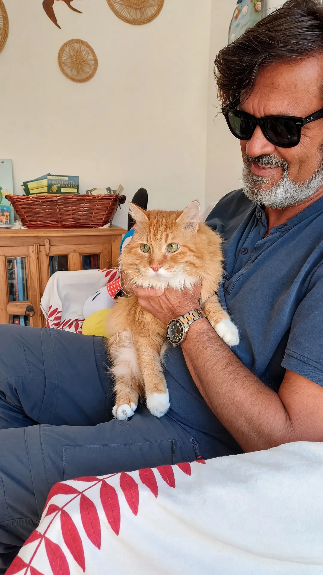 Un gatto rosso tenuto in braccio sul divano
