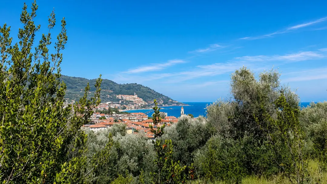 Il golfo dianese visto dall’alto, fra gli ulivi