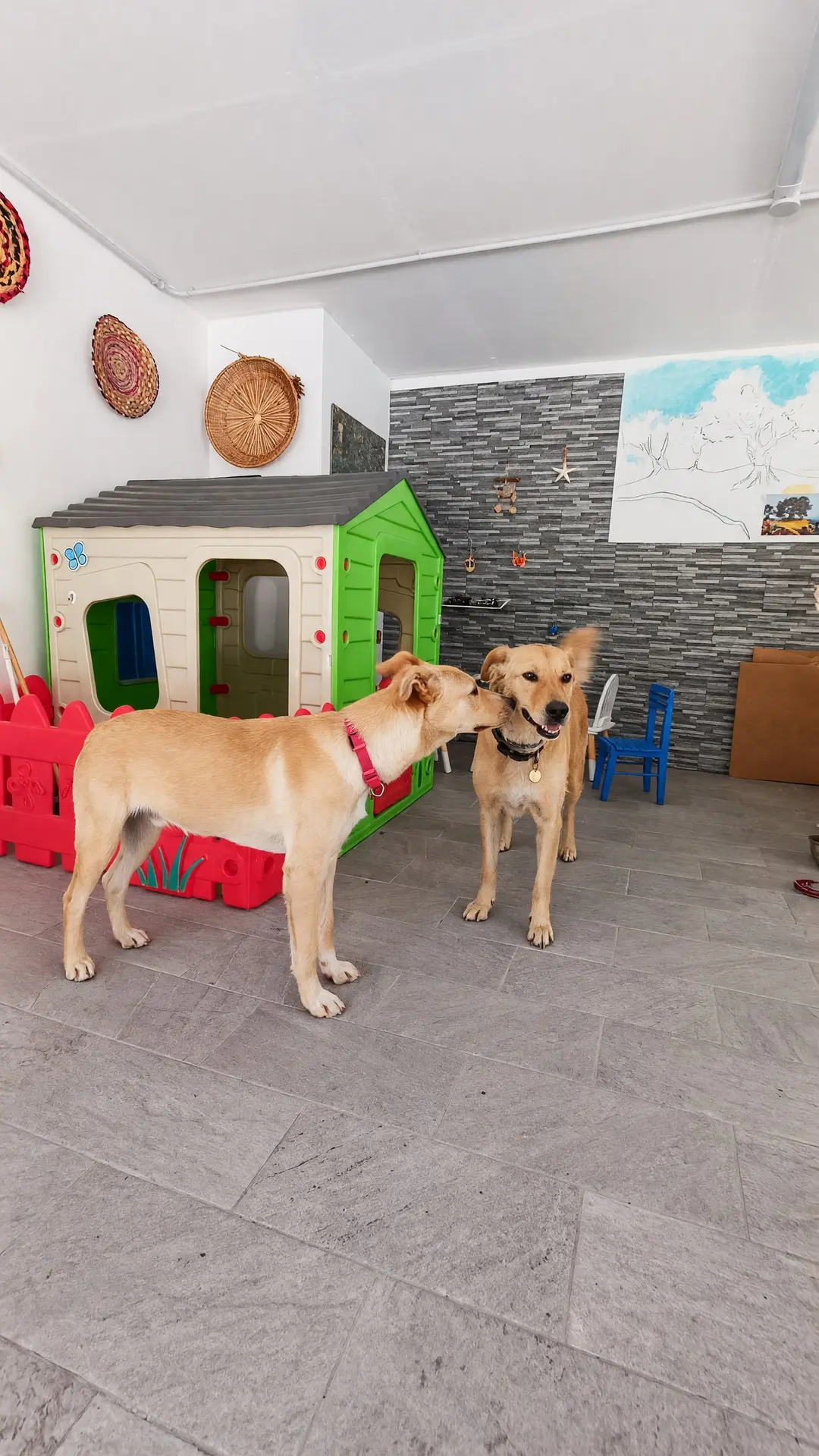Sila, in piedi, annusa Noce nella sala giochi dei bimbi, davanti alla casetta verde