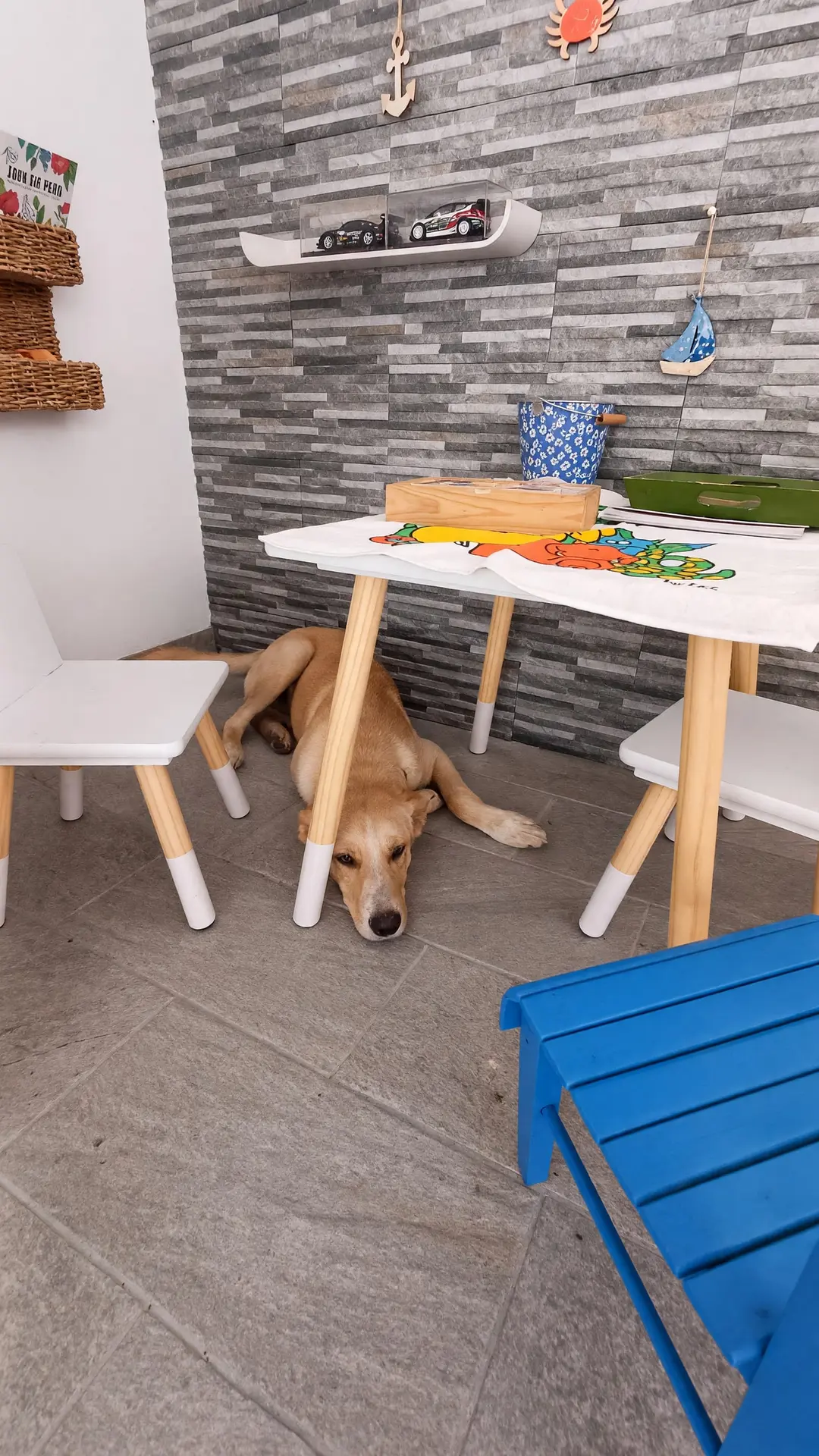 Sila sdraiato sotto il tavolino della sala giochi dei bimbi