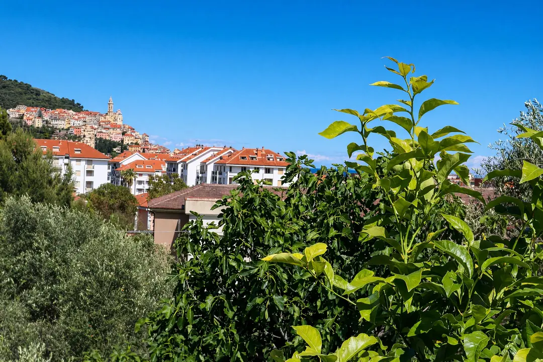 Il borgo sulla collina, visto dal terrazzo fra gli alberi